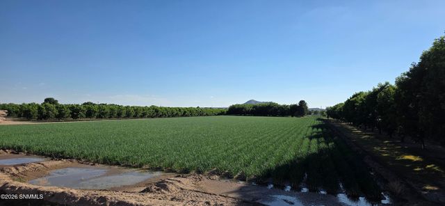 100 Fontana Way, Las Cruces, NM 88007