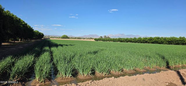 100 Fontana Way, Las Cruces, NM 88007