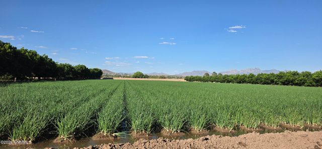 100 Fontana Way, Las Cruces, NM 88007