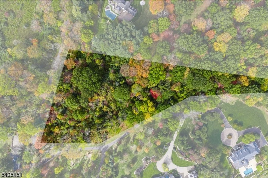 0 Branch Road, Peapack Gladstone Boro, NJ 07934 — photo 2