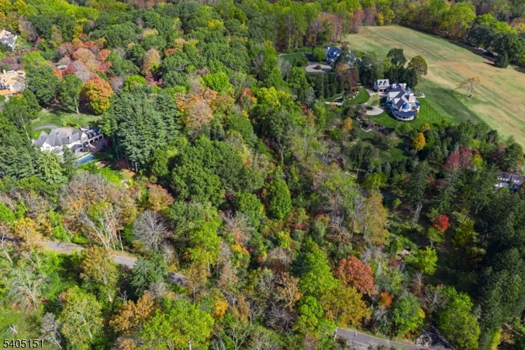 0 Branch Road, Peapack Gladstone Boro, NJ 07934 — photo 5
