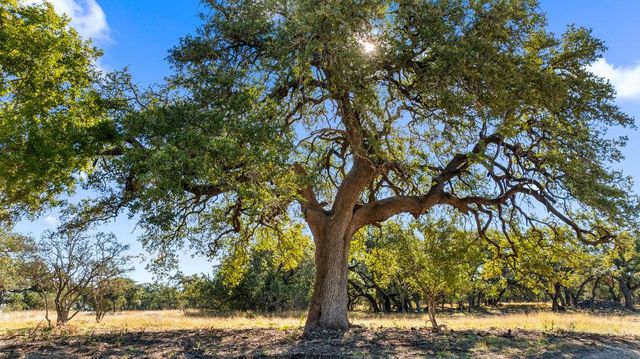 2482 Ranch Road 2721, Blanco, TX 78636