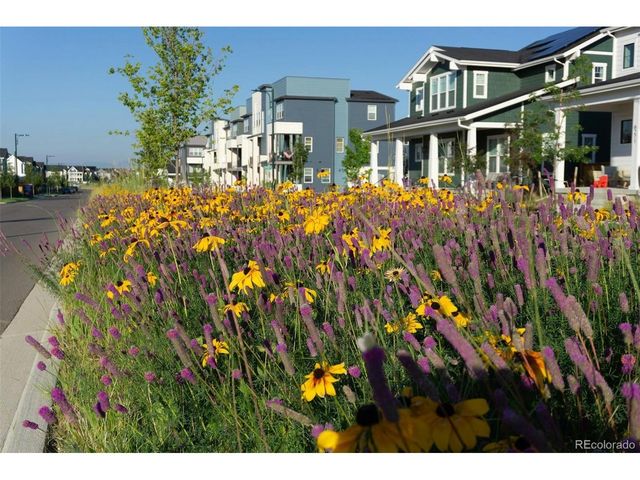 8518 E 54th Pl, Denver, CO 80238