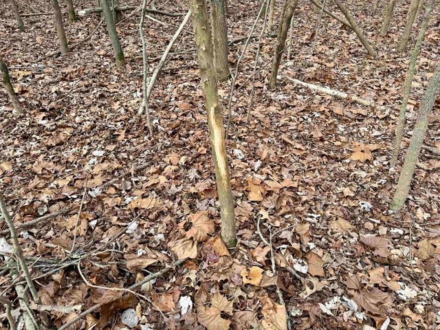 2411 E State Route 62, Boonville, IN 47601