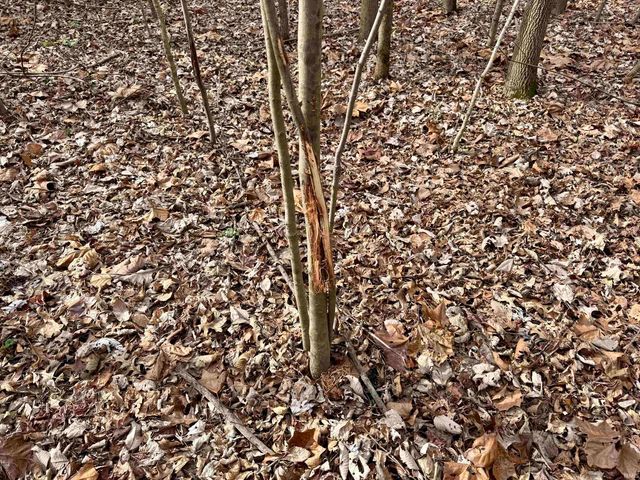 2411 E State Route 62, Boonville, IN 47601