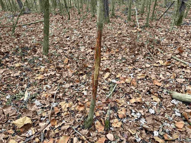 2411 E State Route 62, Boonville, IN 47601