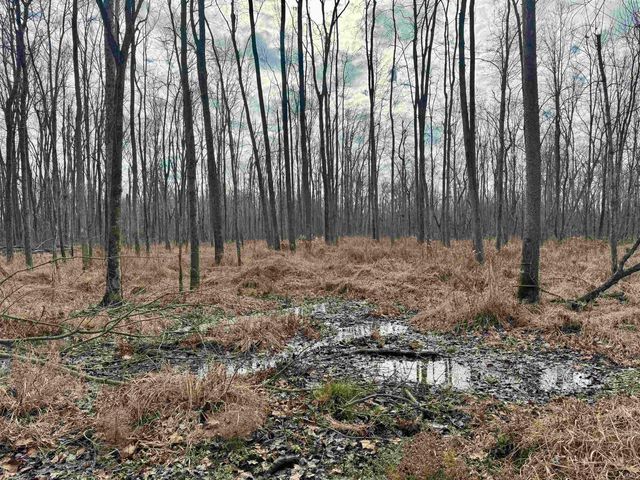 2411 E State Route 62, Boonville, IN 47601