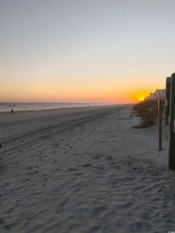 252 Red Maple Loop, Longs, SC 29568