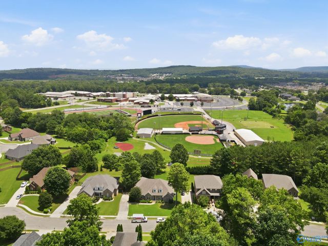 107 Cedar Valley Court, Harvest, AL 35749