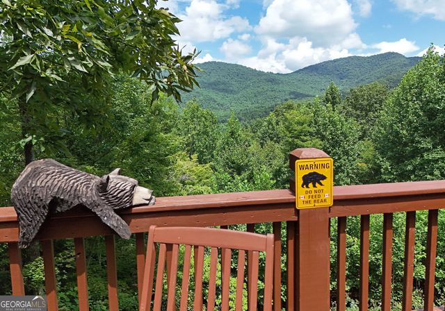 769 Ross Ridge Road, Blairsville, GA 30512