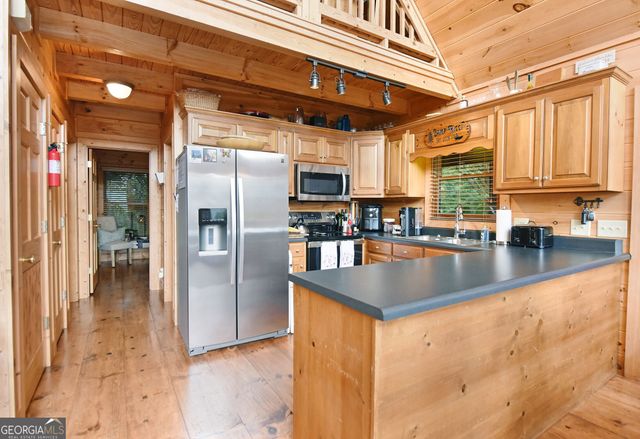 769 Ross Ridge Road, Blairsville, GA 30512