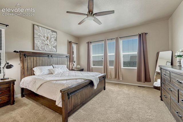 6049 Traditions Drive, Colorado Springs, CO 80924