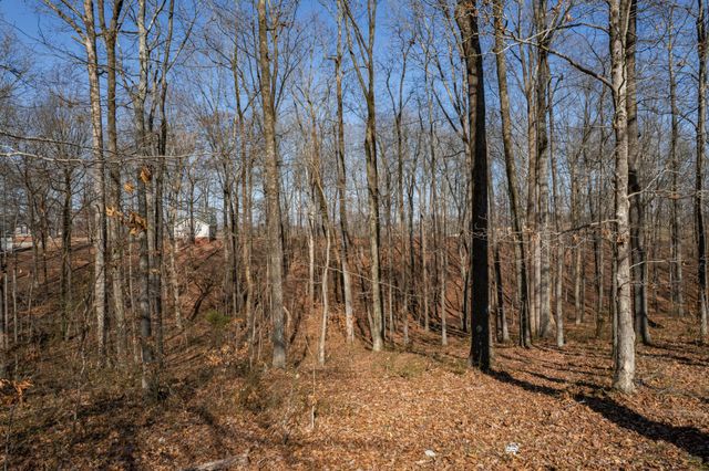 129 Poling Dr, Pulaski, TN 38478