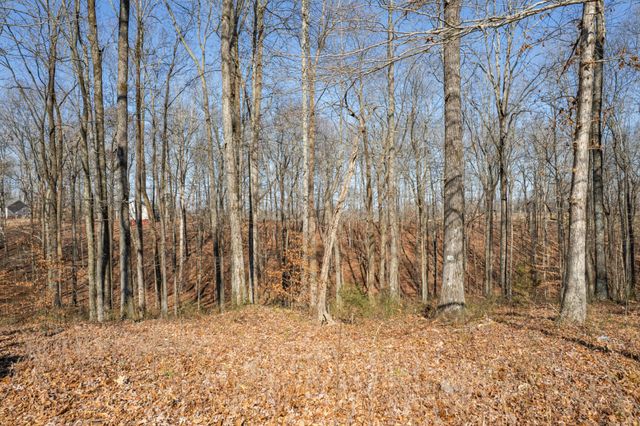 129 Poling Dr, Pulaski, TN 38478