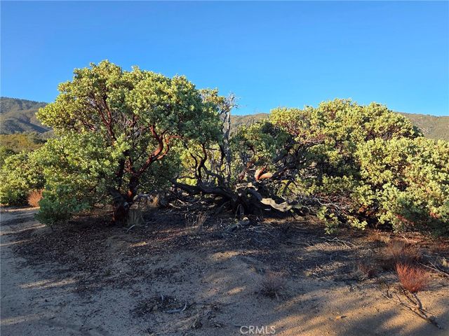 0 Mount Rd, Anza, CA 92539
