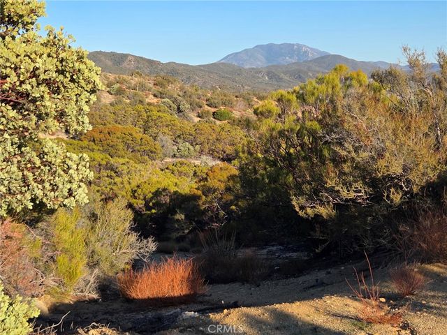 0 Mount Rd, Anza, CA 92539
