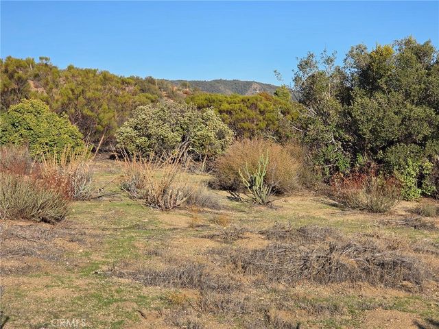 0 Mount Rd, Anza, CA 92539