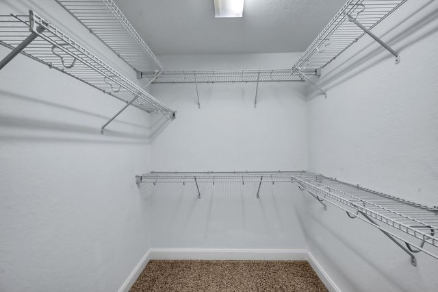 51 Panterra Way, The Woodlands, TX 77382