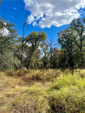 515 Resort Lane, Seguin, TX 78155