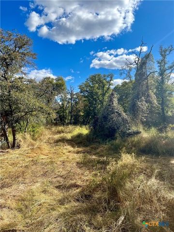 515 Resort Lane, Seguin, TX 78155