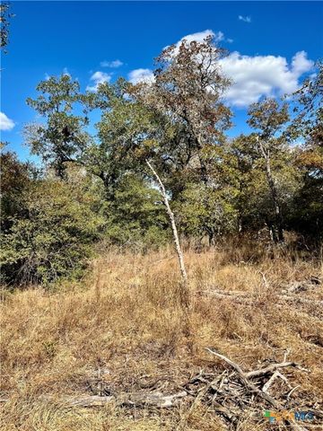 515 Resort Lane, Seguin, TX 78155