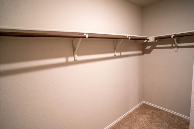 12509 Brahmin DR, Austin, TX 78724