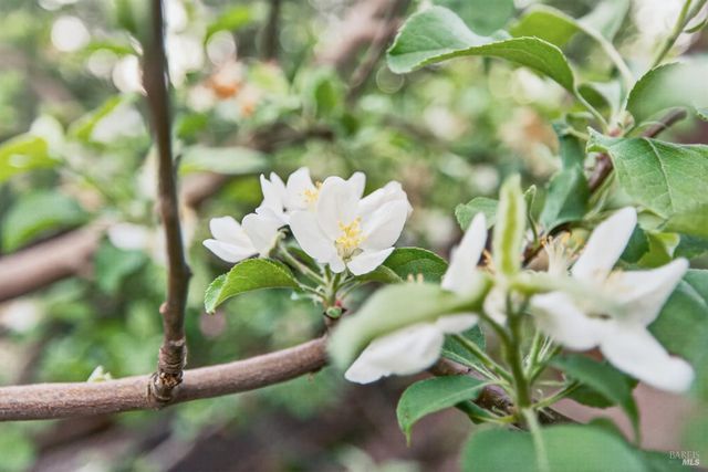 116 Hill Rd, Glen Ellen, CA 95442