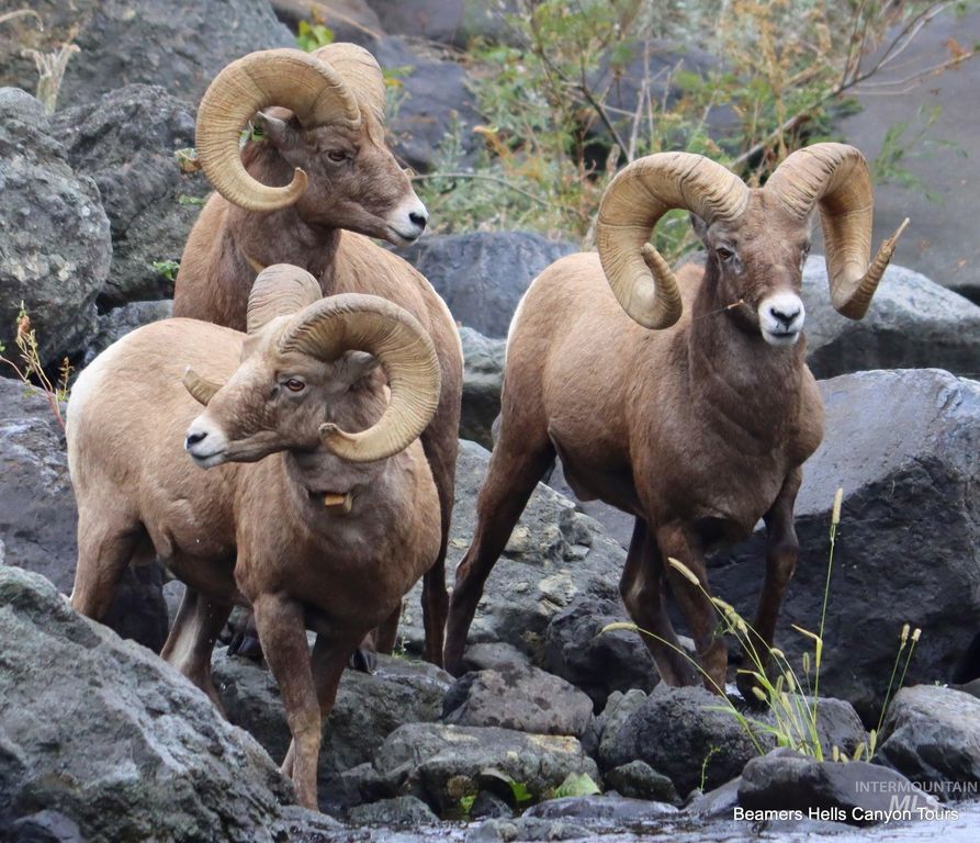 1345 Port Drive, Clarkston, WA 99403 photo 21