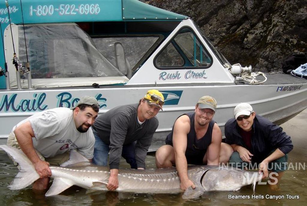 1345 Port Drive, Clarkston, WA 99403 photo 5