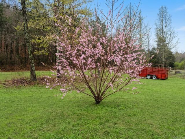 184 Peaceful Place Rd, Caddo Gap, AR 71935