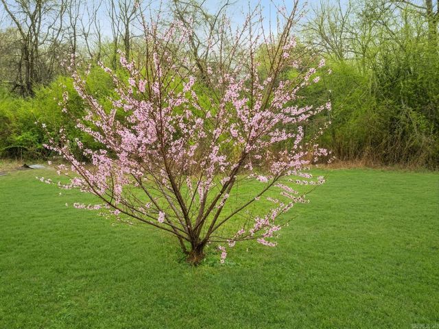 184 Peaceful Place Rd, Caddo Gap, AR 71935