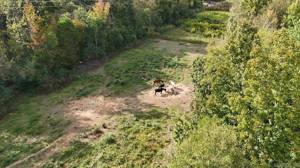 184 Peaceful Place Rd, Caddo Gap, AR 71935