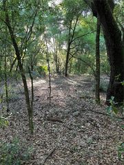 SW HWY 484, Dunnellon, FL 34432