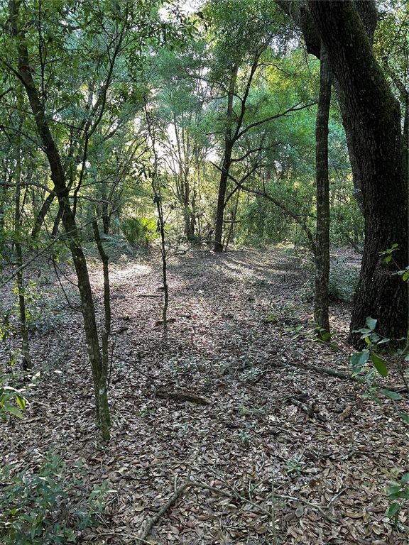 SW HWY 484, Dunnellon, FL 34432