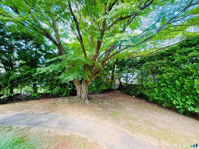 1 Willowbrook Court 1, Stamford, CT 06902