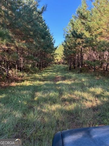 117 Moran Springs Road, Milledgeville, GA 31061