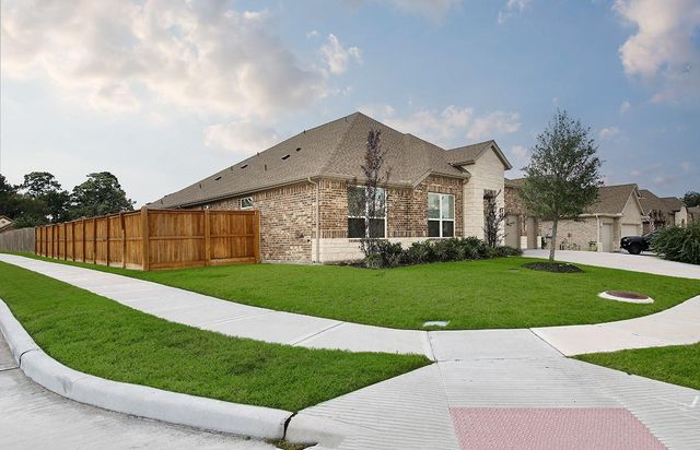 12103 Bee Bush Court, Conroe, TX 77304