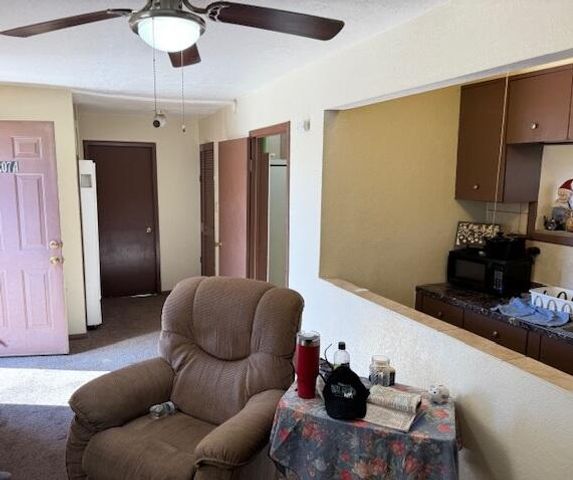 207 Mt Carmel Avenue, Socorro, NM 87801