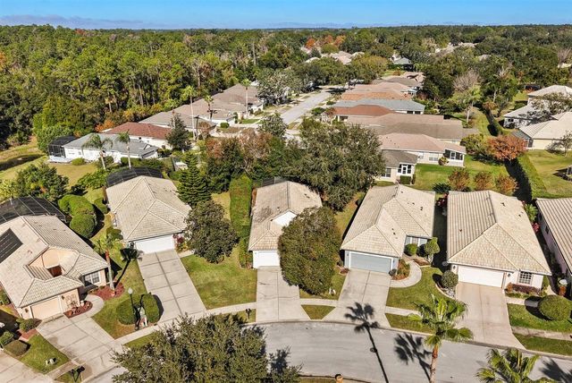 9071 SAINT ANDREWS WAY, Mount Dora, FL 32757