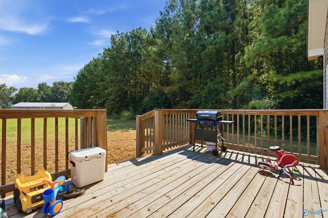 20126 County Road 460, Trinity, AL 35673