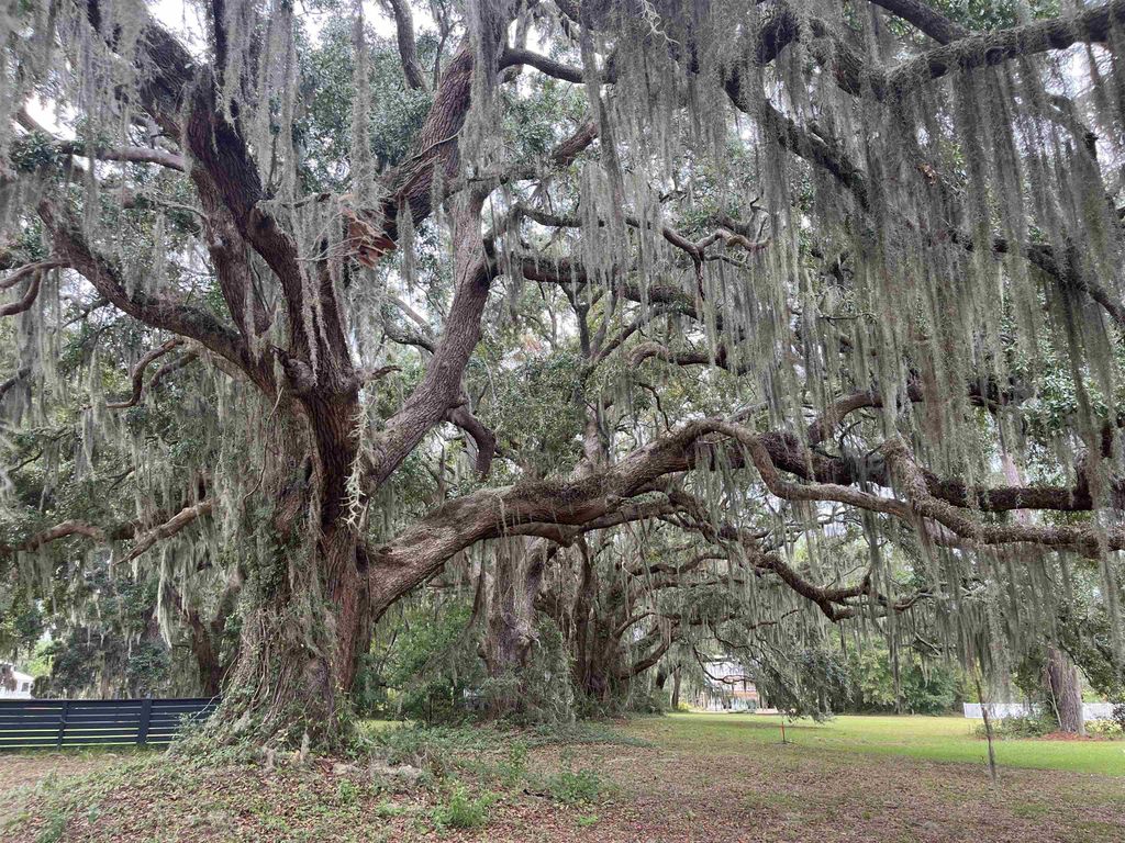 LOT 50 Oak Bay Dr., Georgetown, SC 29440 — photo 2
