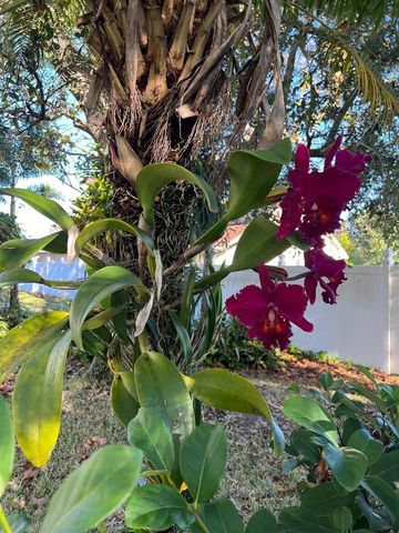 655 EAGLE POINTE S, Kissimmee, FL 34746