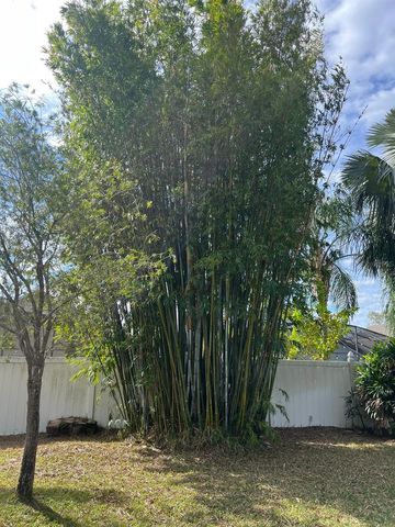 655 EAGLE POINTE S, Kissimmee, FL 34746