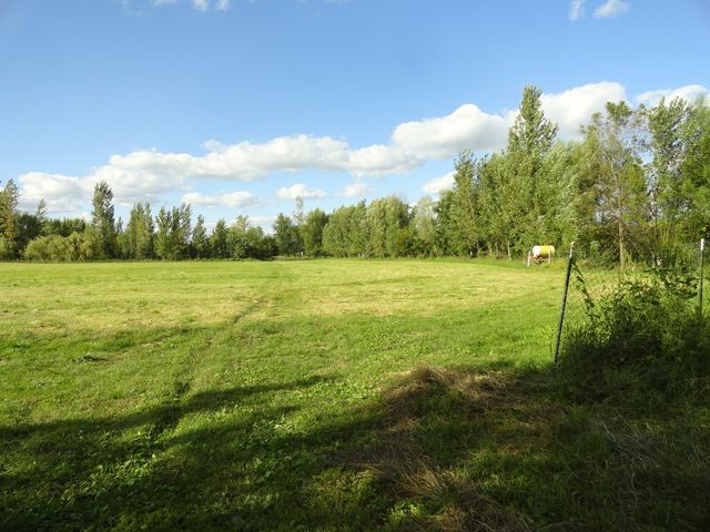 18250 Malvern Road, Morrison, IL 61270