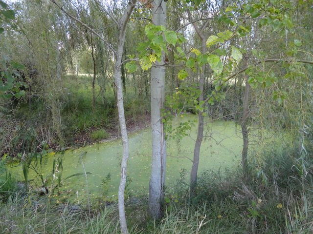 18250 Malvern Road, Morrison, IL 61270