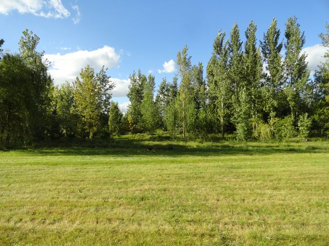 18250 Malvern Road, Morrison, IL 61270