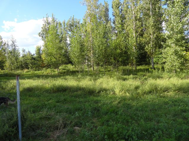 18250 Malvern Road, Morrison, IL 61270