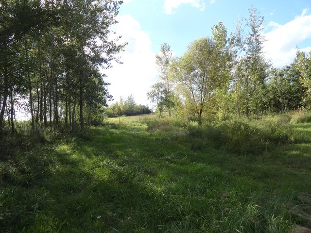 18250 Malvern Road, Morrison, IL 61270