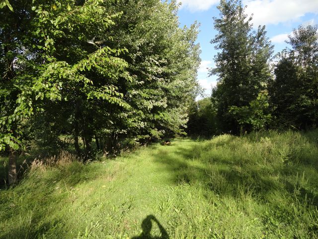 18250 Malvern Road, Morrison, IL 61270