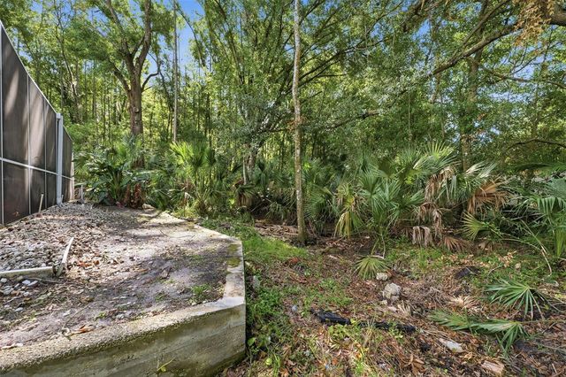 4710 BASSWOOD STREET, Land O Lakes, FL 34639